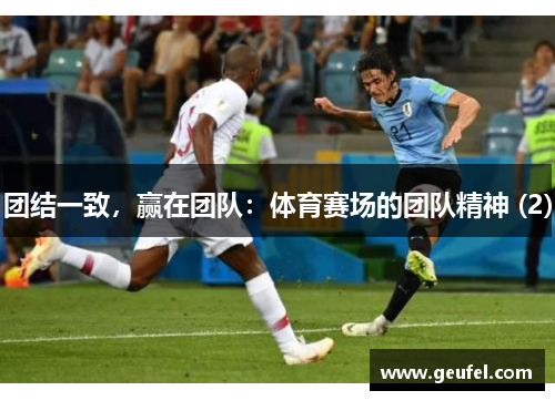 团结一致，赢在团队：体育赛场的团队精神 (2)
