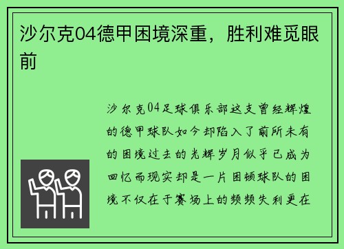 沙尔克04德甲困境深重，胜利难觅眼前